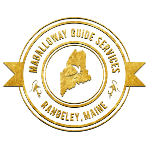 Gold Magalloway Guide Logo TANSPARENT.