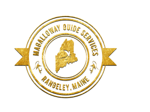 Magalloway Guide Service Gold logo