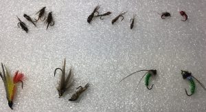 Flies for winter fly fishing